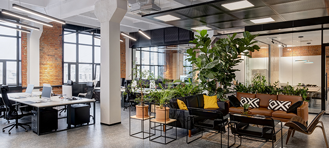 LEED-certified green office